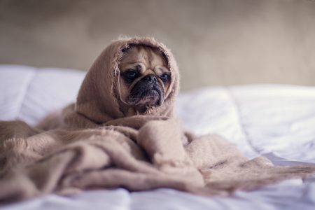 Things are Scary Out There…